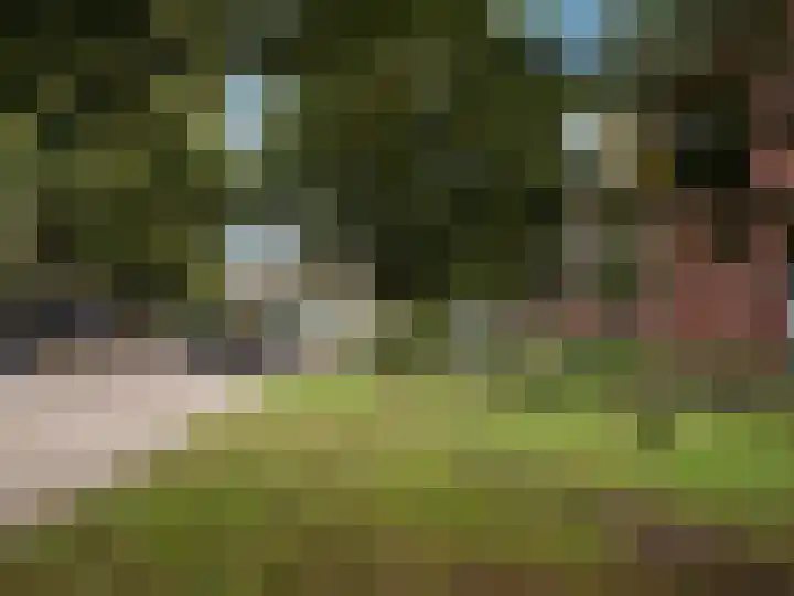 Marialaan 400 Nijmegen thumbnail 20