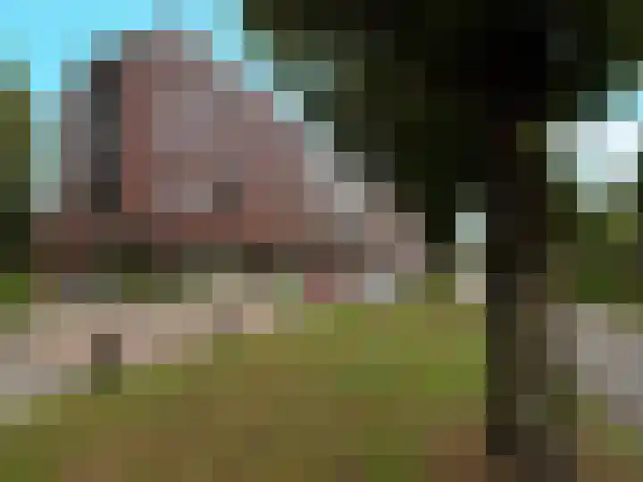 Marialaan 400 Nijmegen thumbnail 21