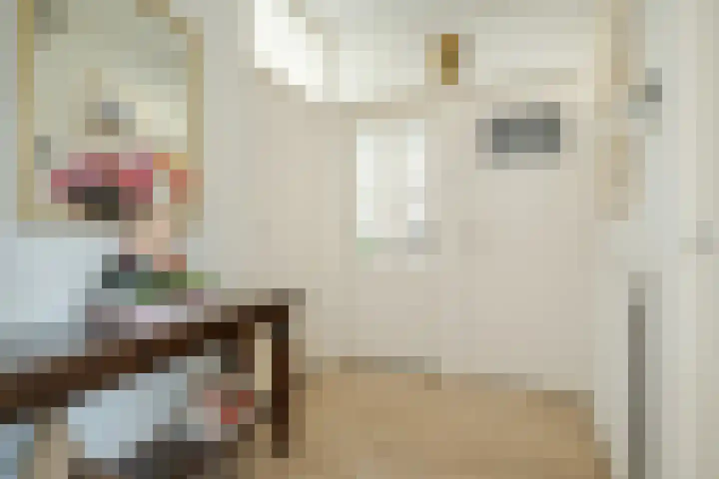 Marialaan 5 C Breda thumbnail 10