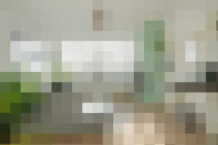 Marialaan 5 C Breda thumbnail 15