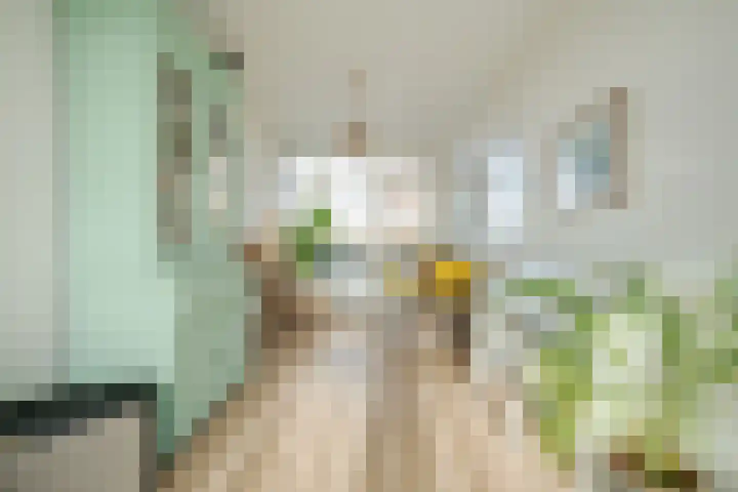 Marialaan 5 C Breda thumbnail 21
