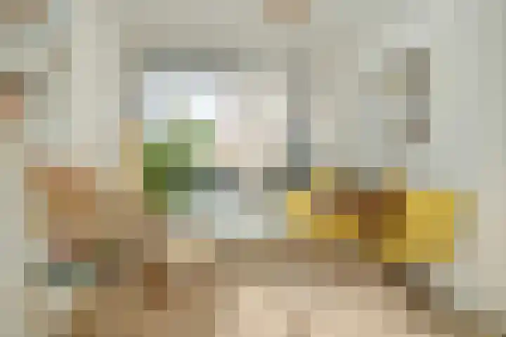 Marialaan 5 C Breda thumbnail 23