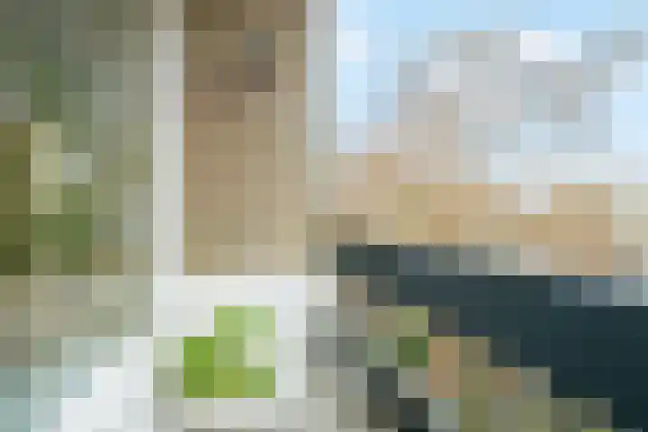 Marialaan 5 C Breda thumbnail 26