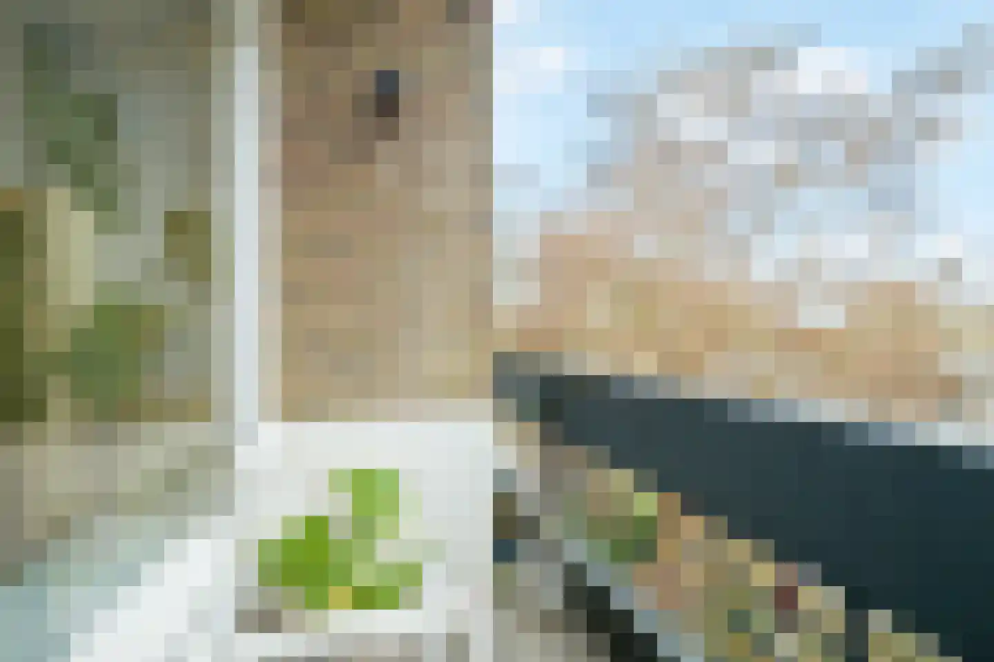 Marialaan 5 C Breda thumbnail 26