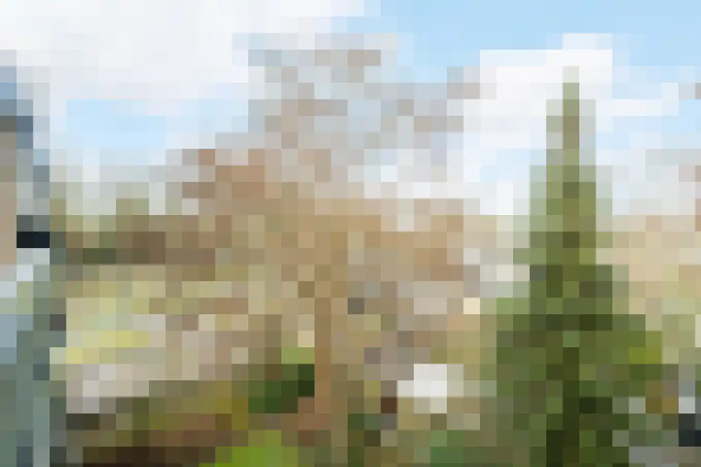 Marialaan 5 C Breda thumbnail 27