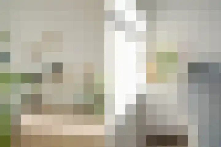 Marialaan 5 C Breda thumbnail 38