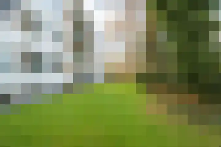 Marialaan 5 C Breda thumbnail 46