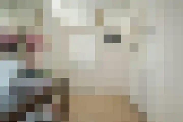 Marialaan 5 C Breda thumbnail 9