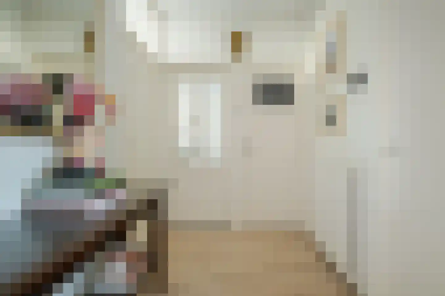 Marialaan 5 C Breda thumbnail 9