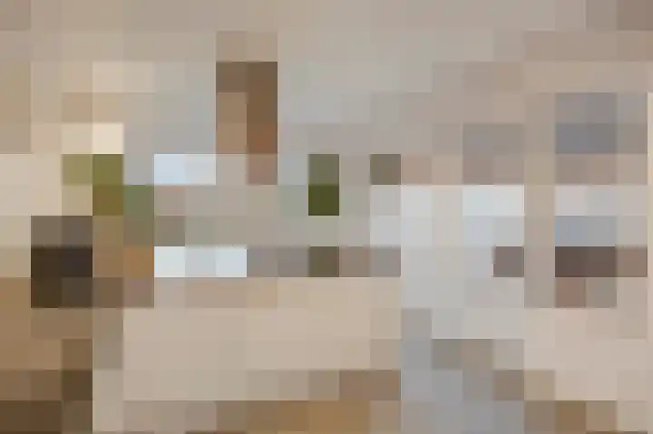 Marialaan 5 Susteren thumbnail 16