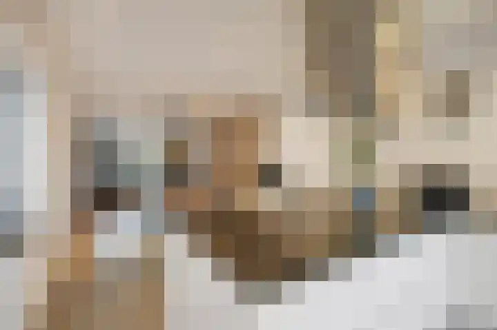 Marialaan 5 Susteren thumbnail 18