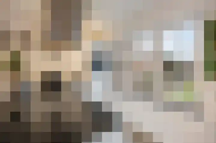 Marialaan 5 Susteren thumbnail 19