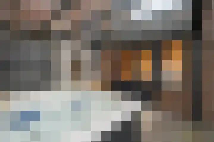 Marialaan 5 Susteren thumbnail 22