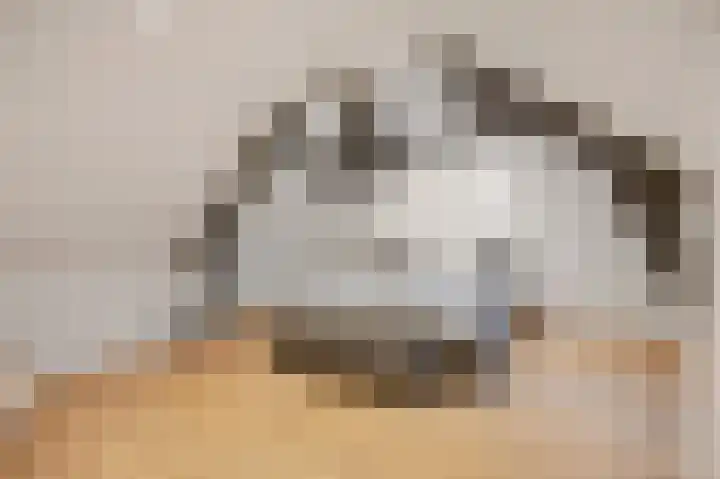 Marialaan 5 Susteren thumbnail 38