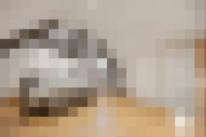 Marialaan 5 Susteren thumbnail 39