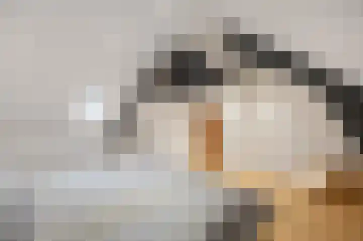 Marialaan 5 Susteren thumbnail 40