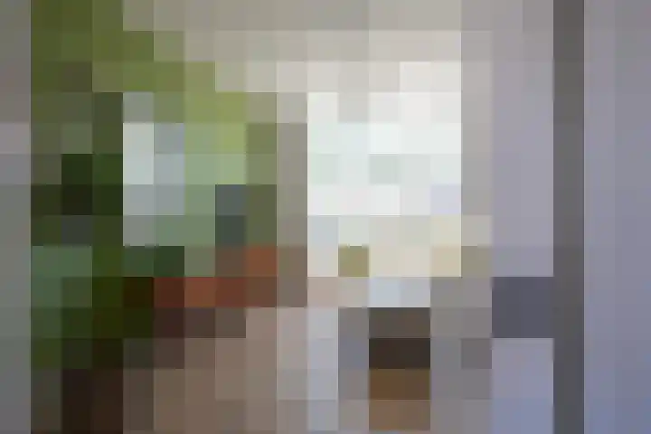 Marialaan 50 Susteren thumbnail 10