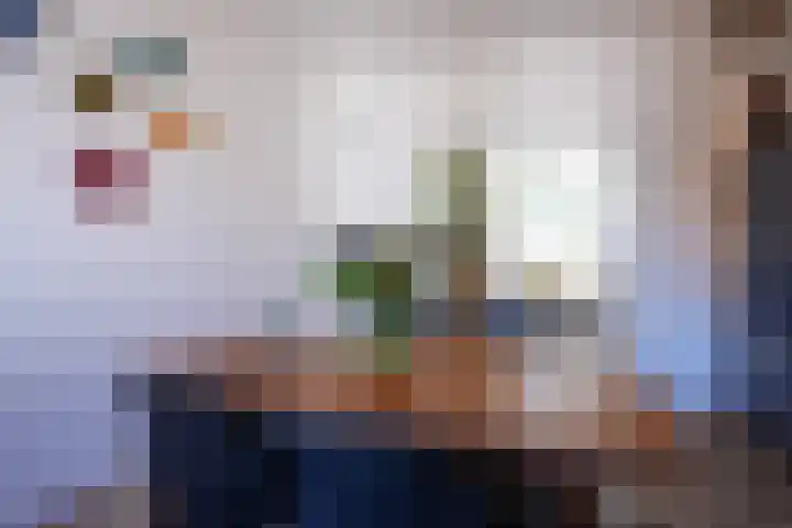 Marialaan 50 Susteren thumbnail 11