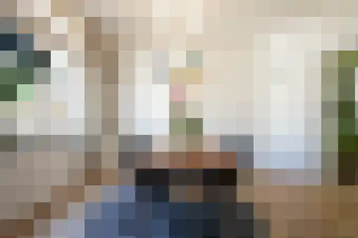 Marialaan 50 Susteren thumbnail 12