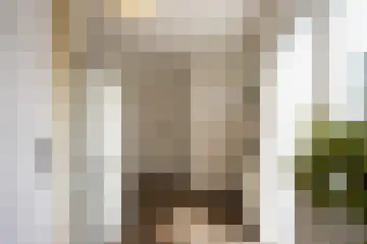 Marialaan 50 Susteren thumbnail 14