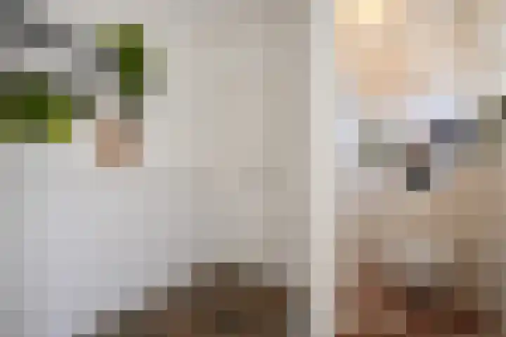 Marialaan 50 Susteren thumbnail 15