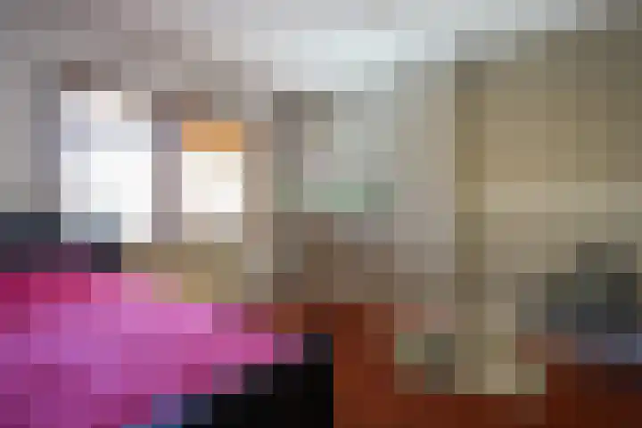 Marialaan 50 Susteren thumbnail 19