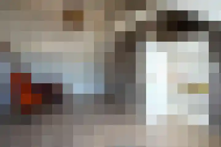 Marialaan 50 Susteren thumbnail 25