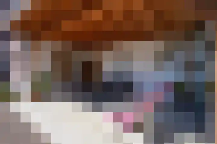 Marialaan 50 Susteren thumbnail 39
