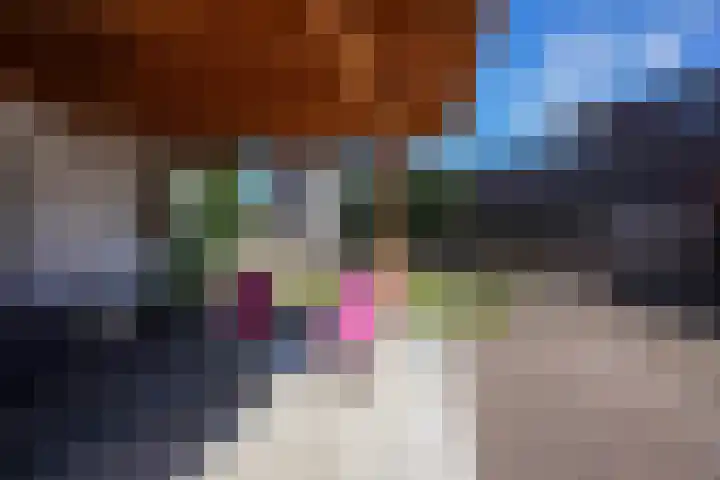 Marialaan 50 Susteren thumbnail 47