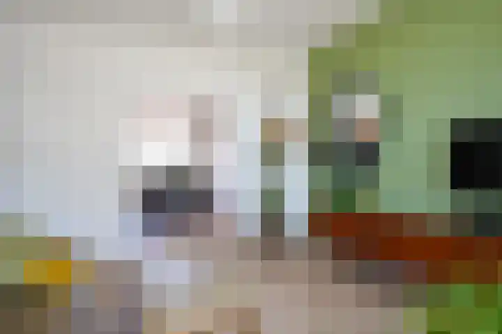 Marialaan 50 Susteren thumbnail 5