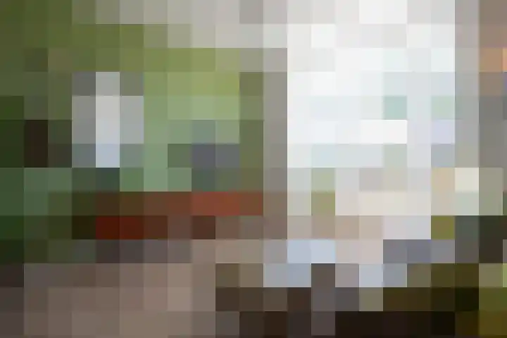 Marialaan 50 Susteren thumbnail 8