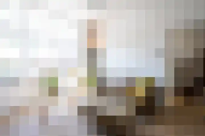 Marialaan 50 Susteren thumbnail 9