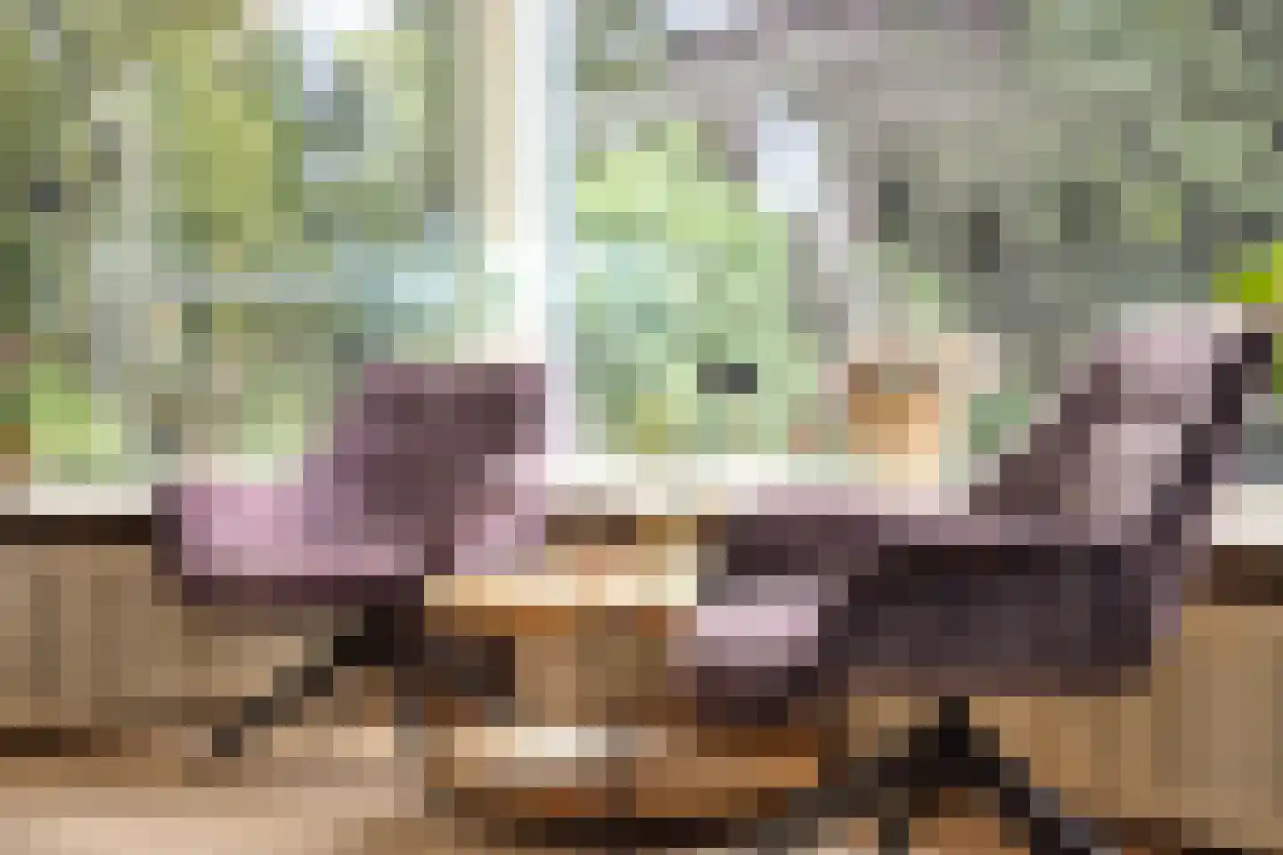 Marialaan 52 Budel-Dorplein thumbnail 32