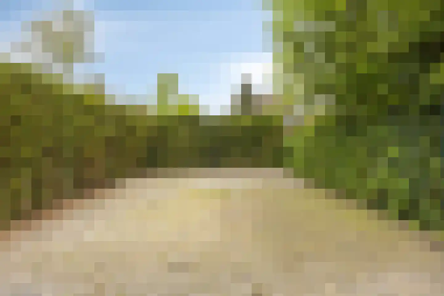 Marialaan 52 Budel-Dorplein thumbnail 5