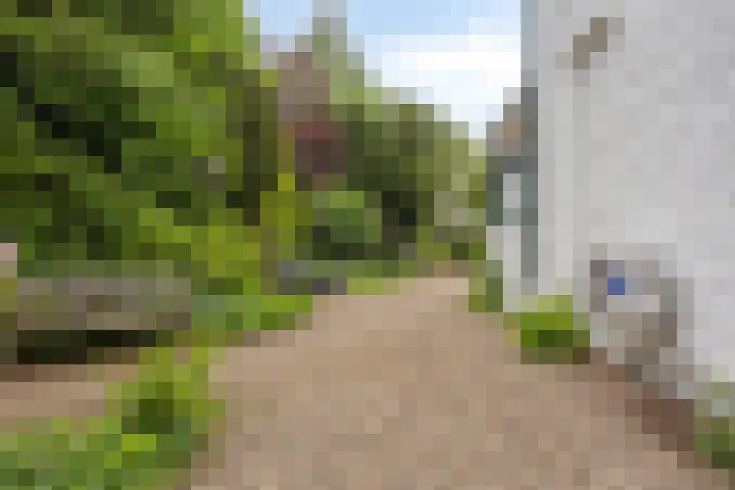 Marialaan 52 Budel-Dorplein thumbnail 59