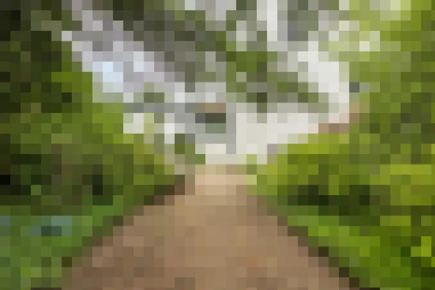 Marialaan 52 Budel-Dorplein thumbnail 73