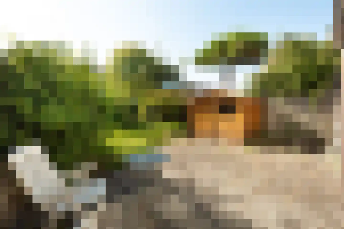 Marialaan 52 Zwanenburg thumbnail 24