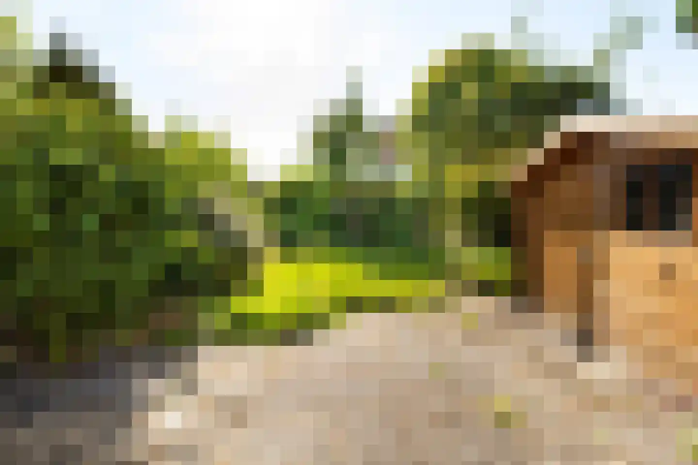 Marialaan 52 Zwanenburg thumbnail 25