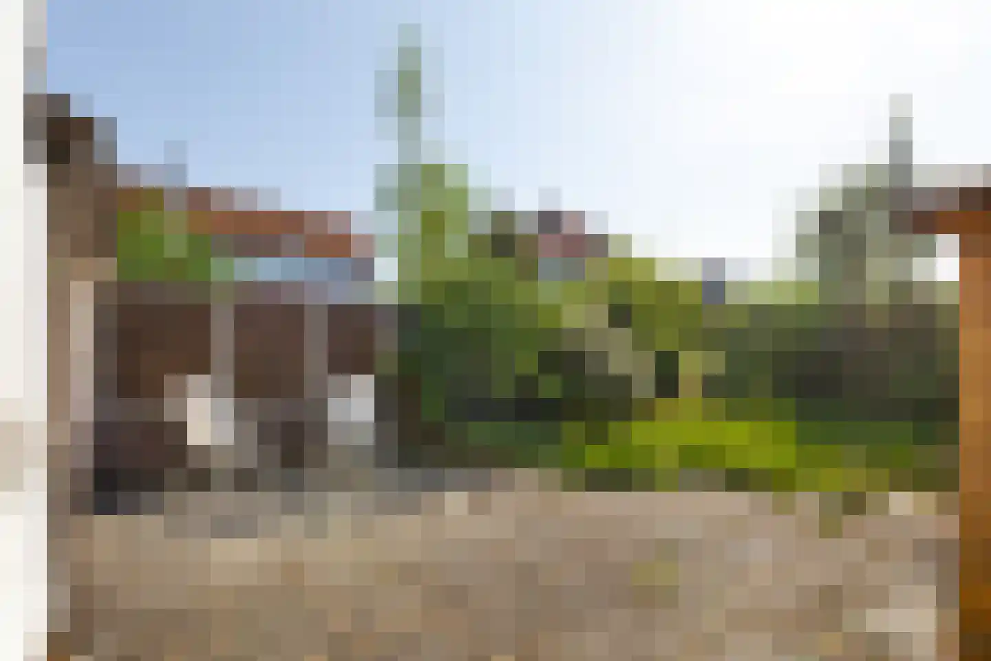Marialaan 52 Zwanenburg thumbnail 26