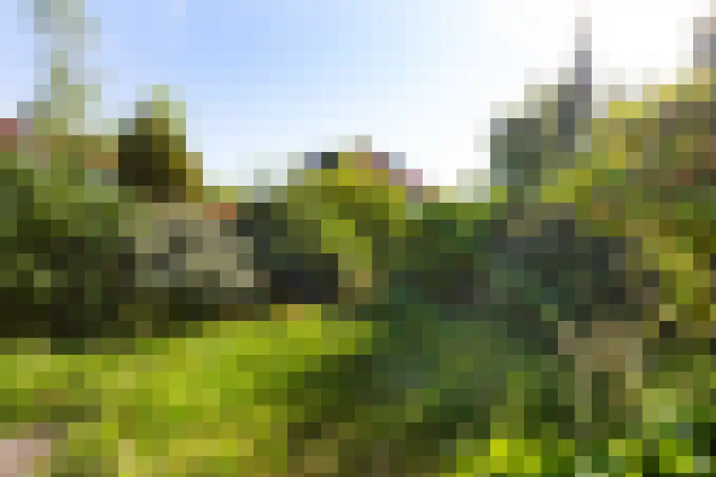 Marialaan 52 Zwanenburg thumbnail 27