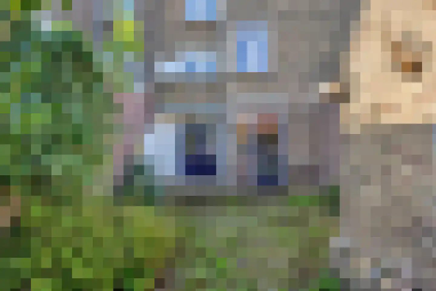 Marialaan 56 Nijmegen thumbnail 28