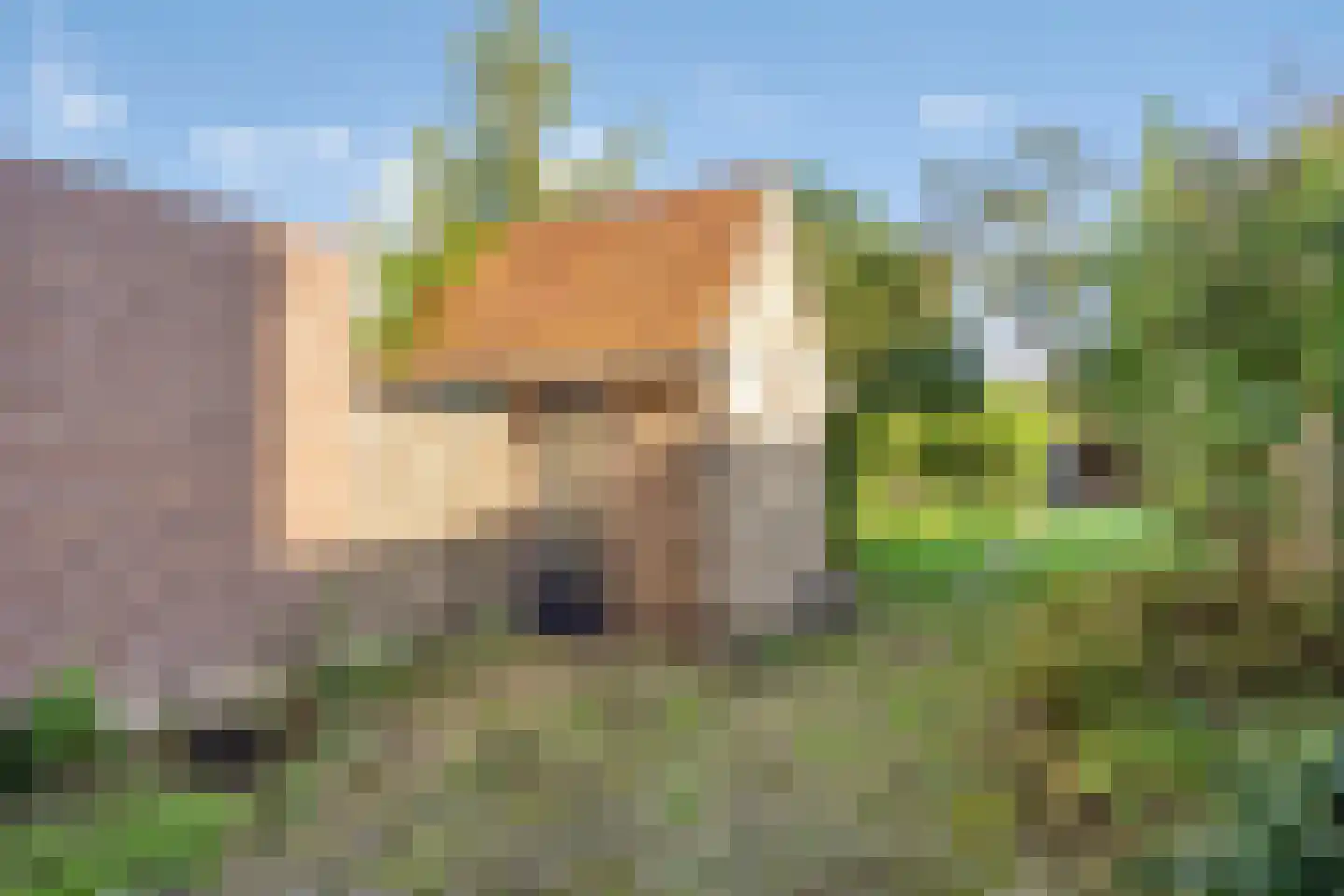 Marialaan 56 Nijmegen thumbnail 29
