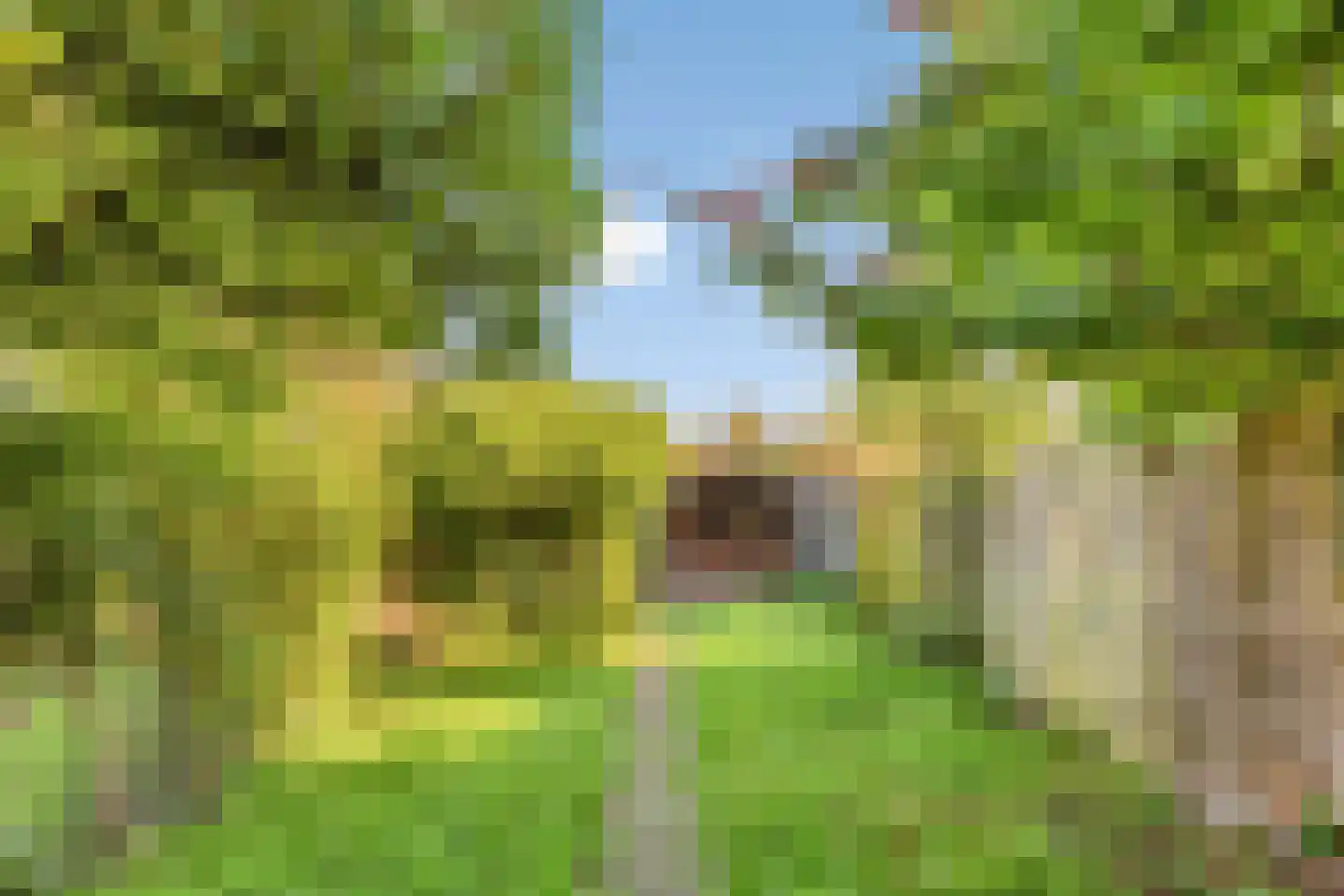 Marialaan 56 Nijmegen thumbnail 30