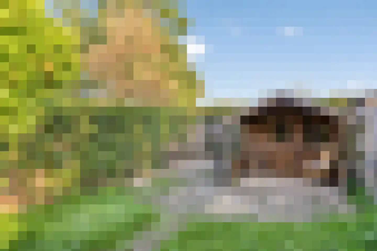 Marialaan 56 Nijmegen thumbnail 31