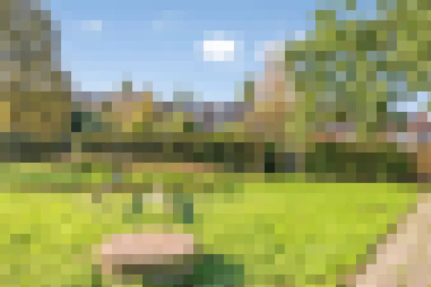 Marialaan 56 Nijmegen thumbnail 35
