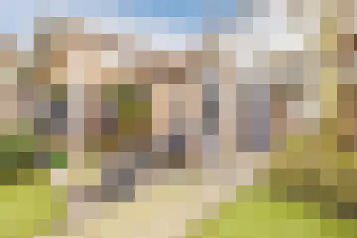 Marialaan 57 Breda thumbnail 33