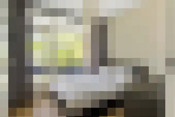 Marialaan 6 B Breda thumbnail 38