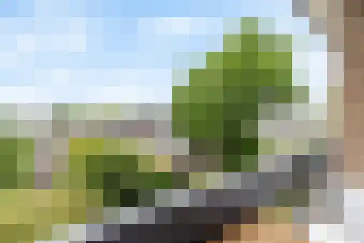 Marialaan 6 B Breda thumbnail 47