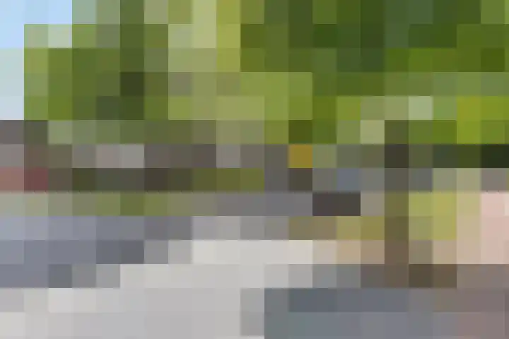 Marialaan 6 B Breda thumbnail 8