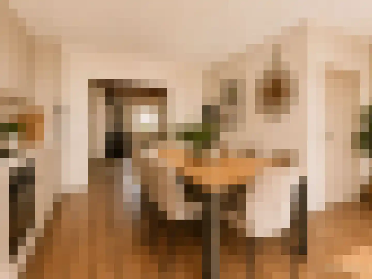 Marialaan 6 Ooij thumbnail 13